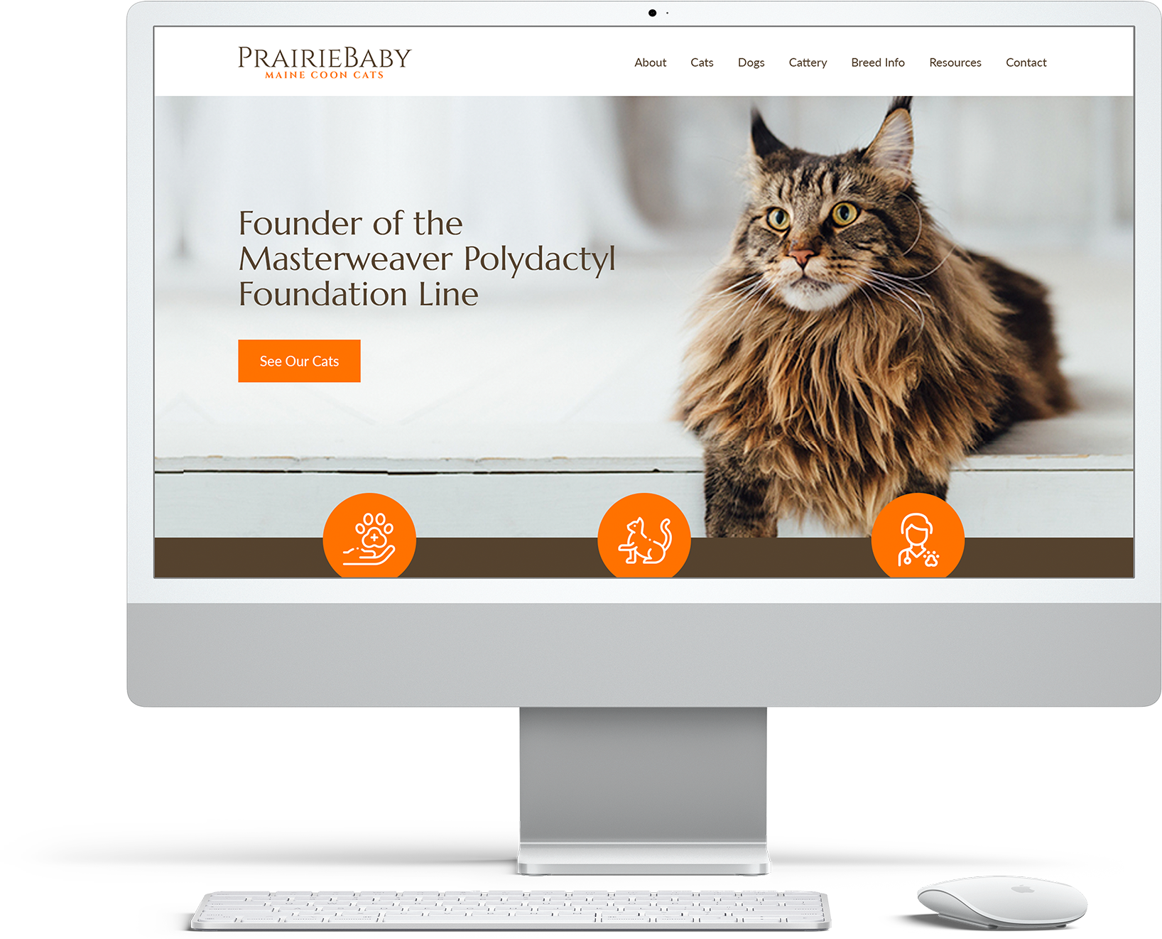 PrairieBaby Thunder Bay Web design